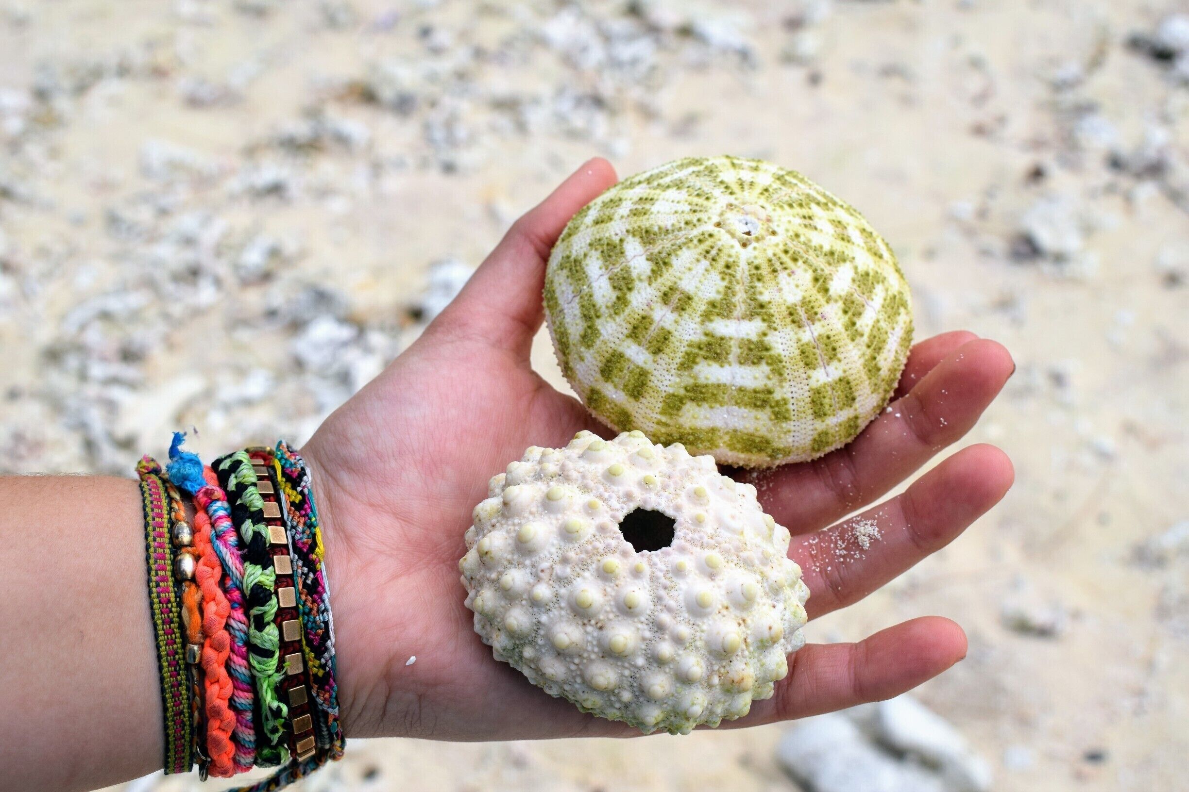 A hand holding two sea glass pebbles on a sandy beach.