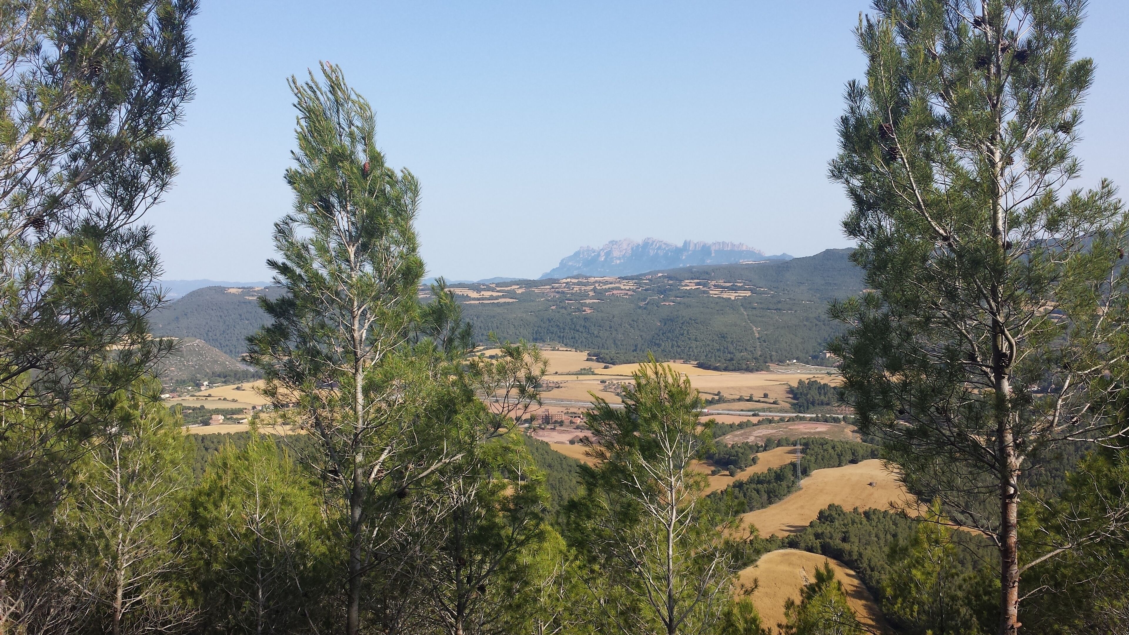 A mountainous landscape with pine trees and a valley.