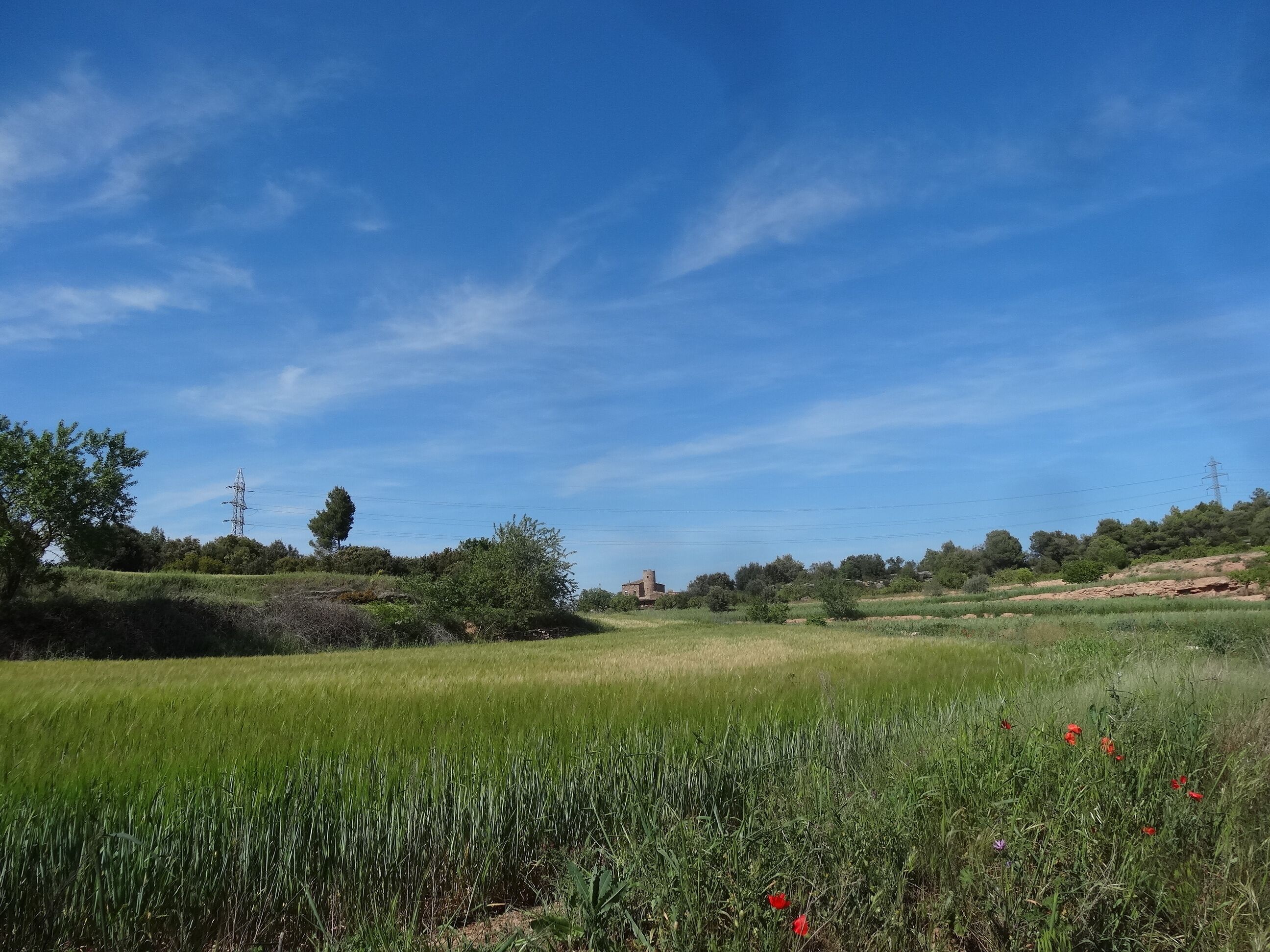 Fonollosa, 08259, Barcelona, Spain