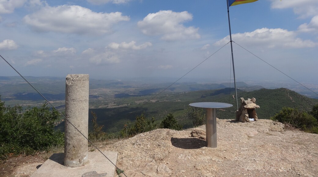 Cim del Cogulló de Cal Torre (o Cogulló de Can Torra).