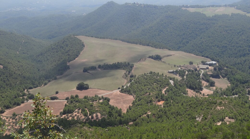 Vistes des del Cogulló de Cal Torre (o Cogulló de Can Torra).