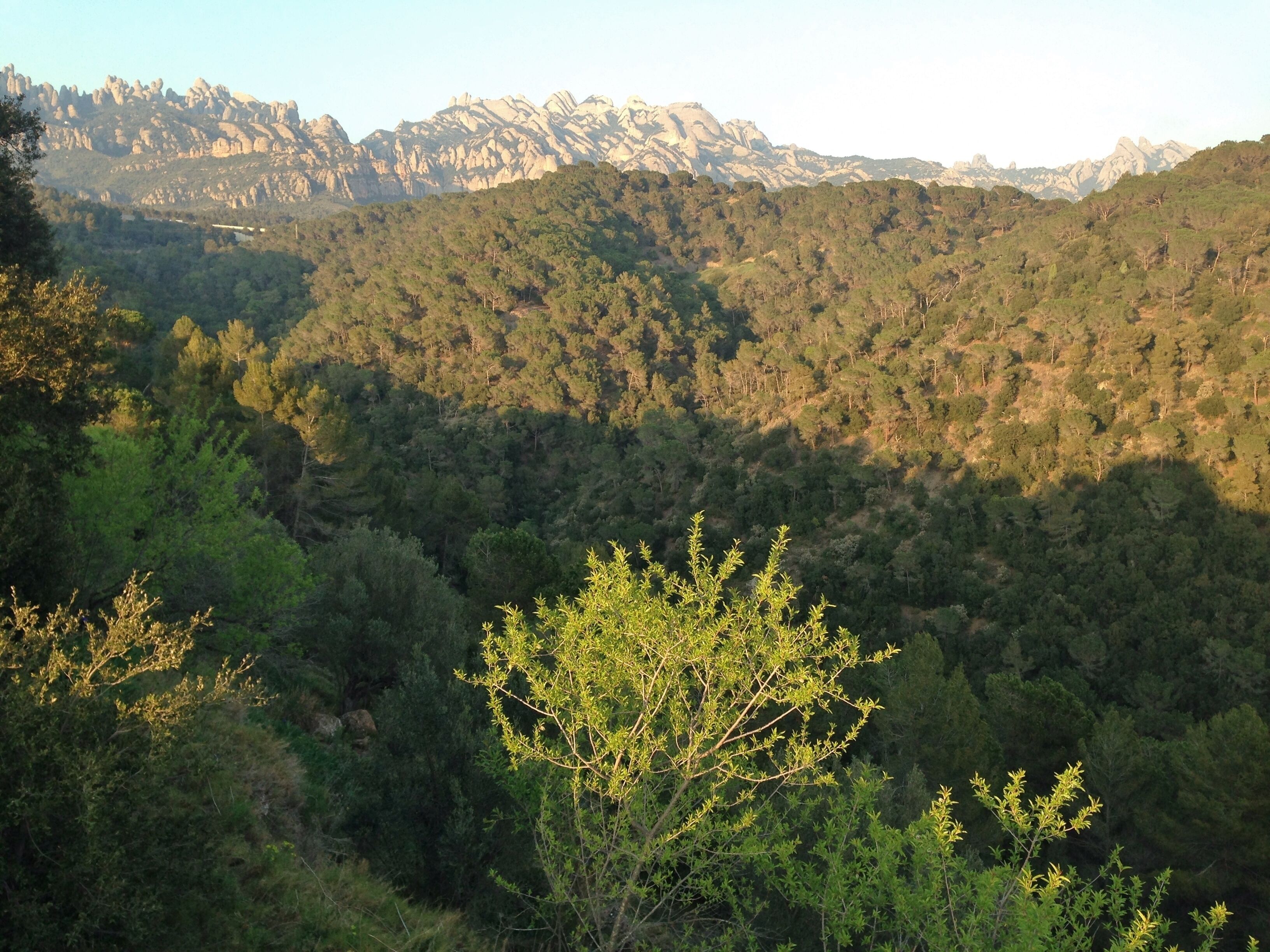 This is a a photo of a natural area in Catalonia, Spain, with id:
