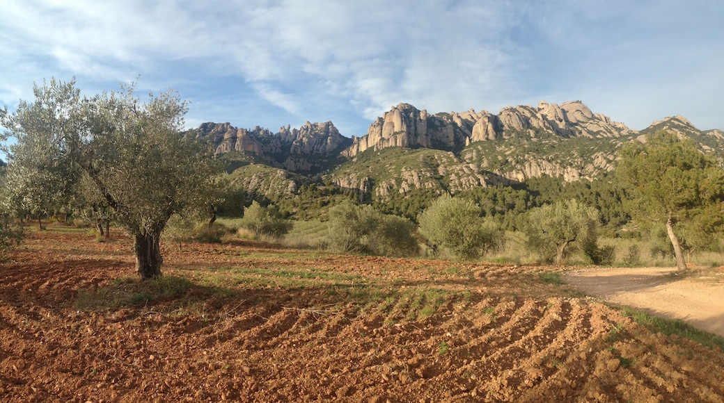 This is a a photo of a natural area in Catalonia, Spain, with id:
