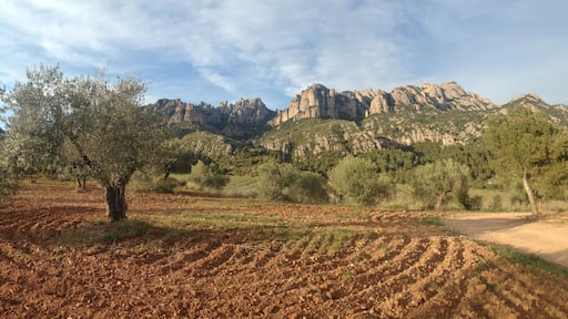 This is a a photo of a natural area in Catalonia, Spain, with id: