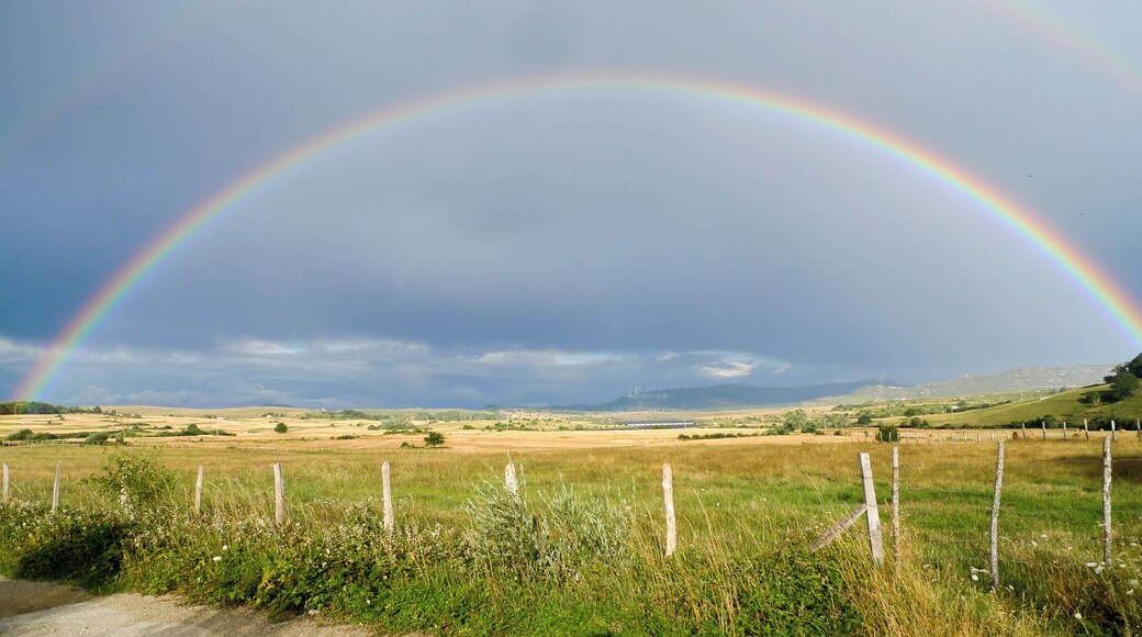 This is a photography of a Site of Community Importance in Spain with the ID:
