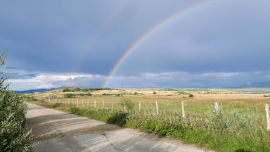 A rural landscape with a dirt road, grassy fields, and a rainbow.