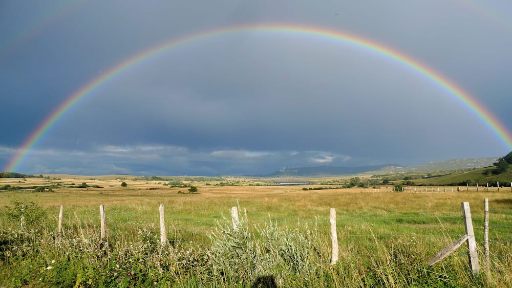A rainbow over a grassy field with a fence in the foreground and wind turbines in the distance.