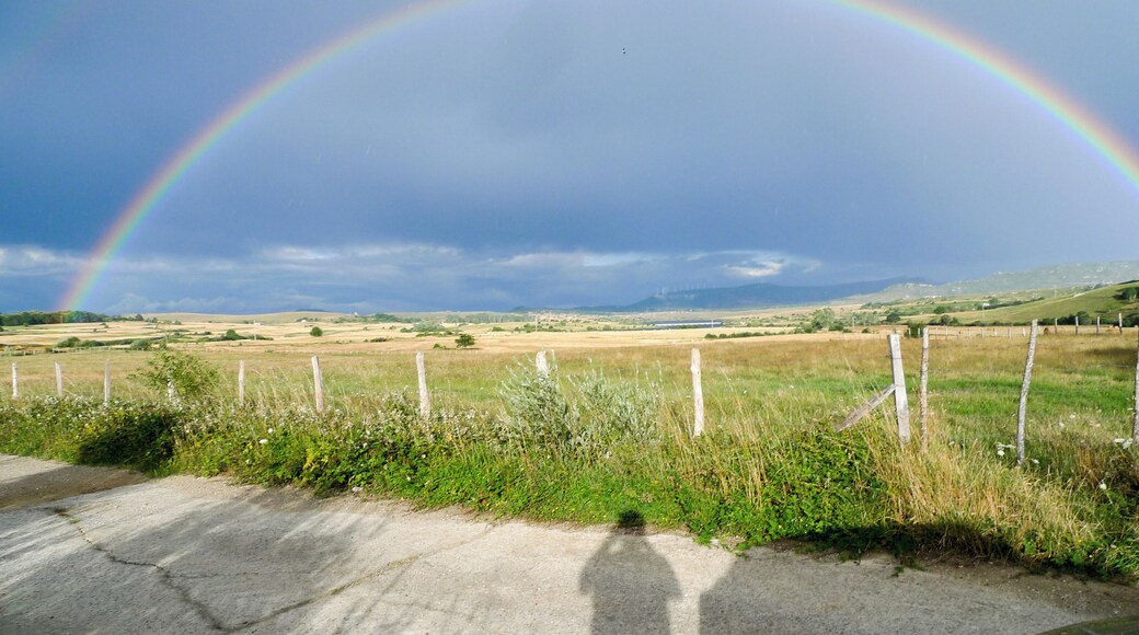 This is a photography of a Site of Community Importance in Spain with the ID: