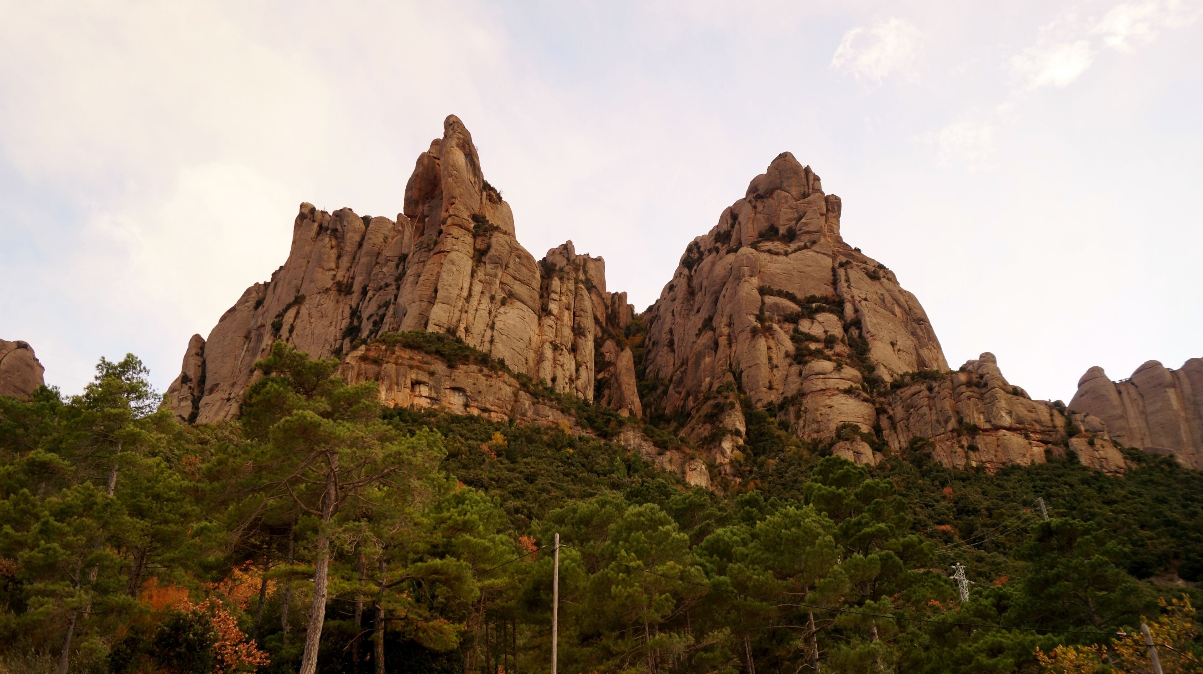 A rugged mountain range with prominent peaks and dense pine forests at its base.
