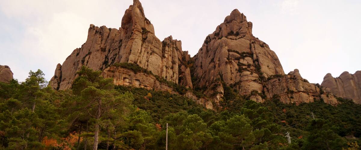 A rugged mountain range with prominent peaks and dense pine forests at its base.