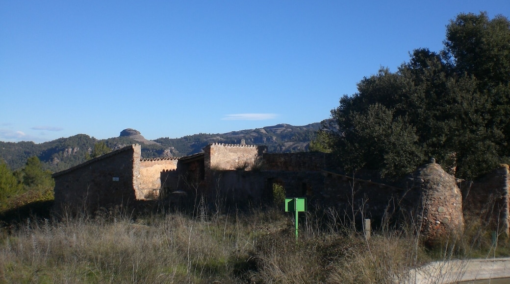 Hostalets del Daví, Parc natural de Sant Llorenç del Munt i l'Obac (desembre 2011)