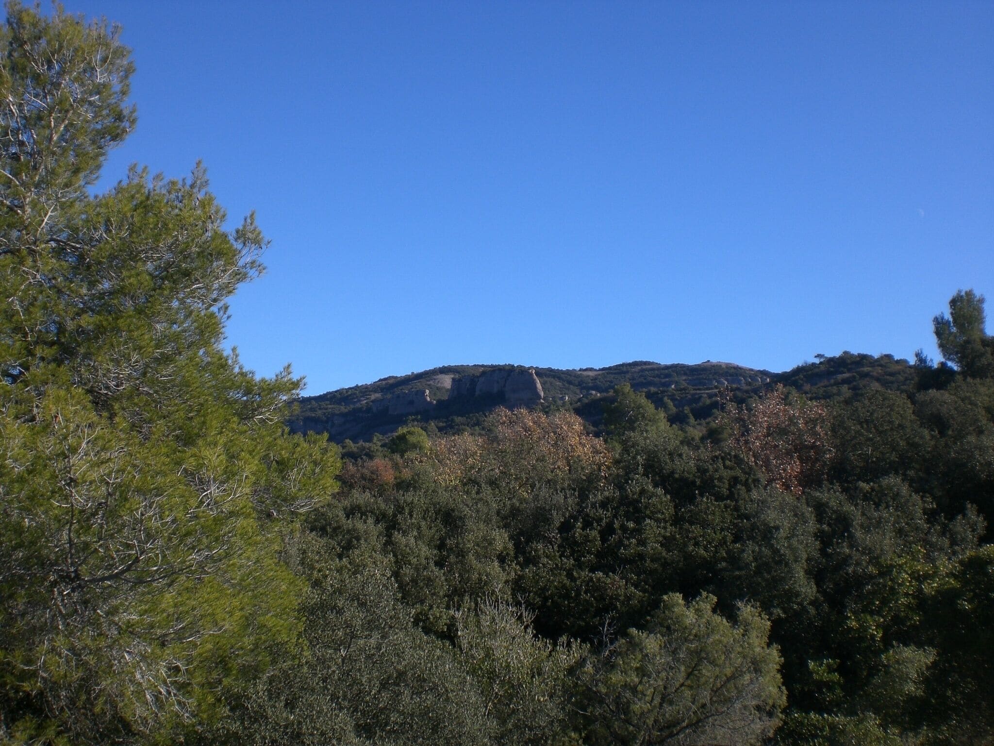 Castellots de la Tanca des dels Hostalets del Daví, Parc natural de Sant Llorenç del Munt i l'Obac (desembre 2011)