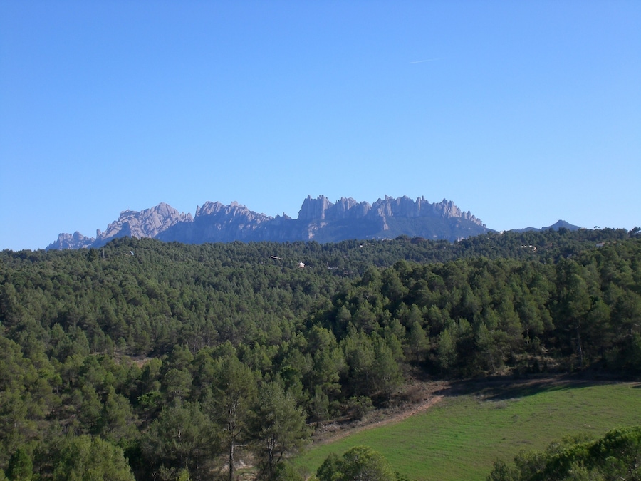 A mountainous landscape with dense forests and a clear sky.
