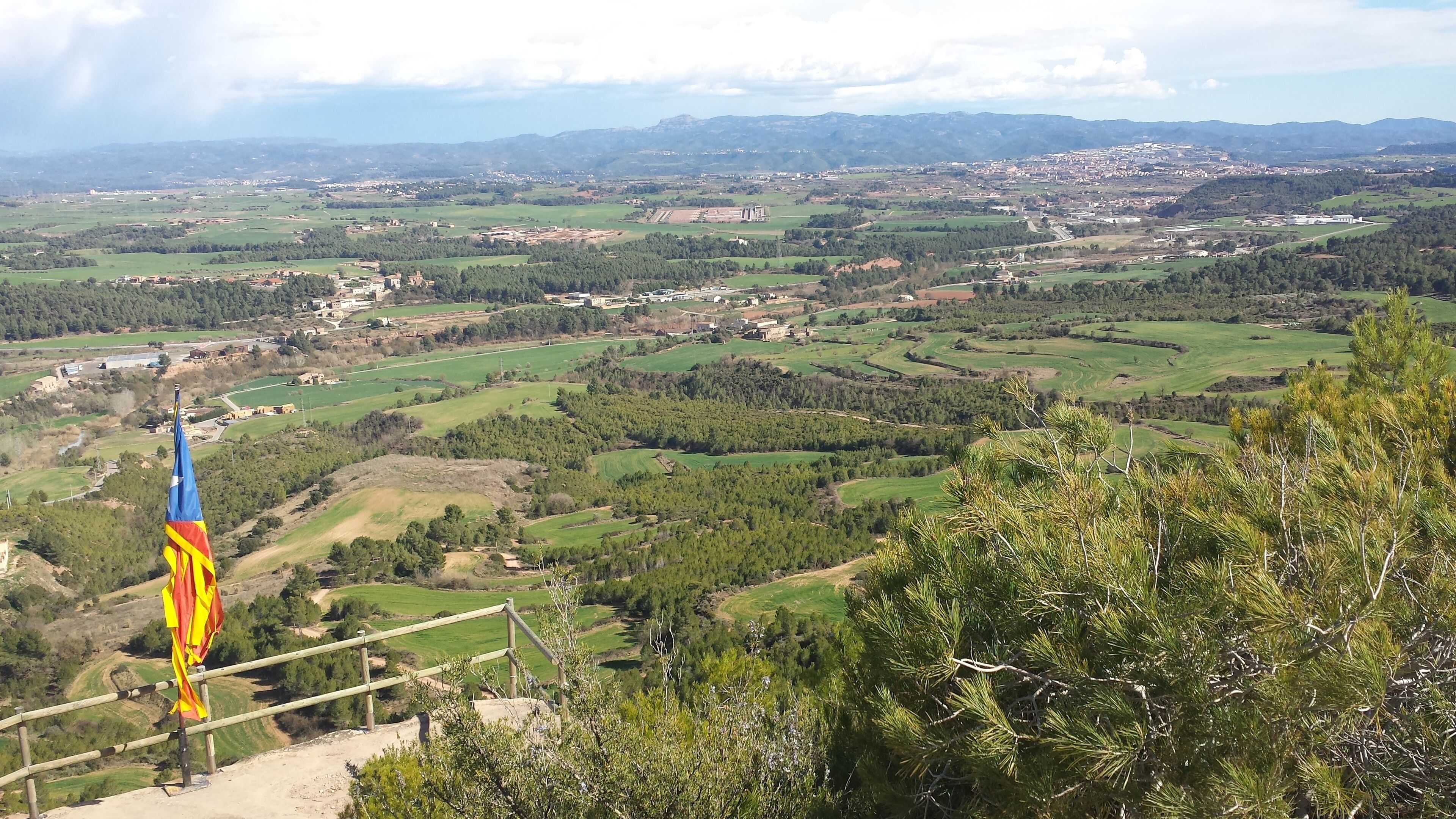 El Garrigà, Sant Joan de Vilatorrada (març 2014)
