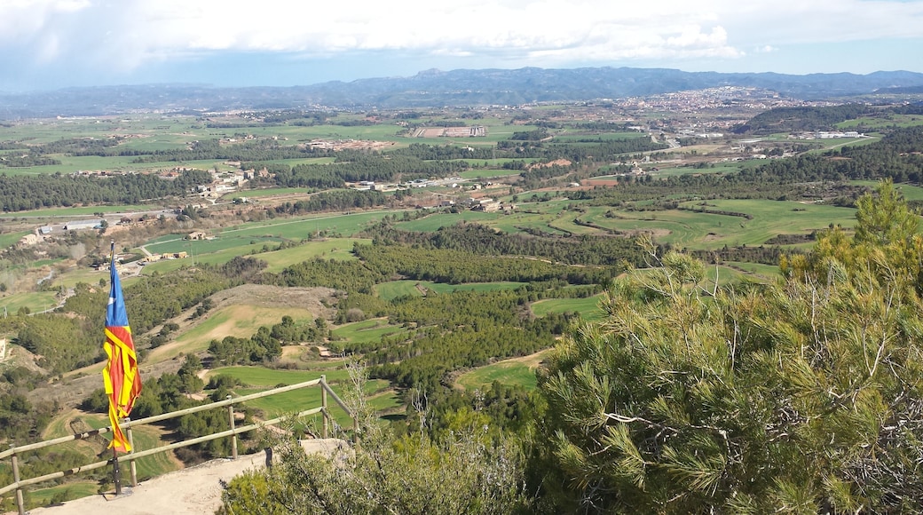 El Garrigà, Sant Joan de Vilatorrada (març 2014)