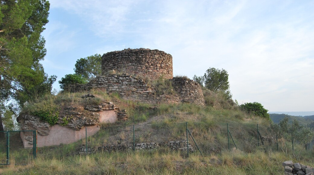 Castell de Callús