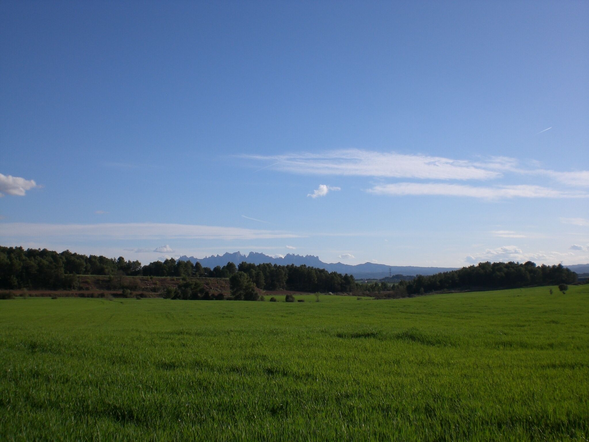 Montserrat des del Pla de Lluçà, Santpedor (març 2011)