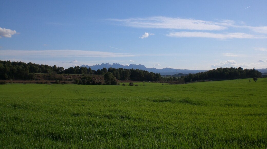 Montserrat des del Pla de Lluçà, Santpedor (març 2011)
