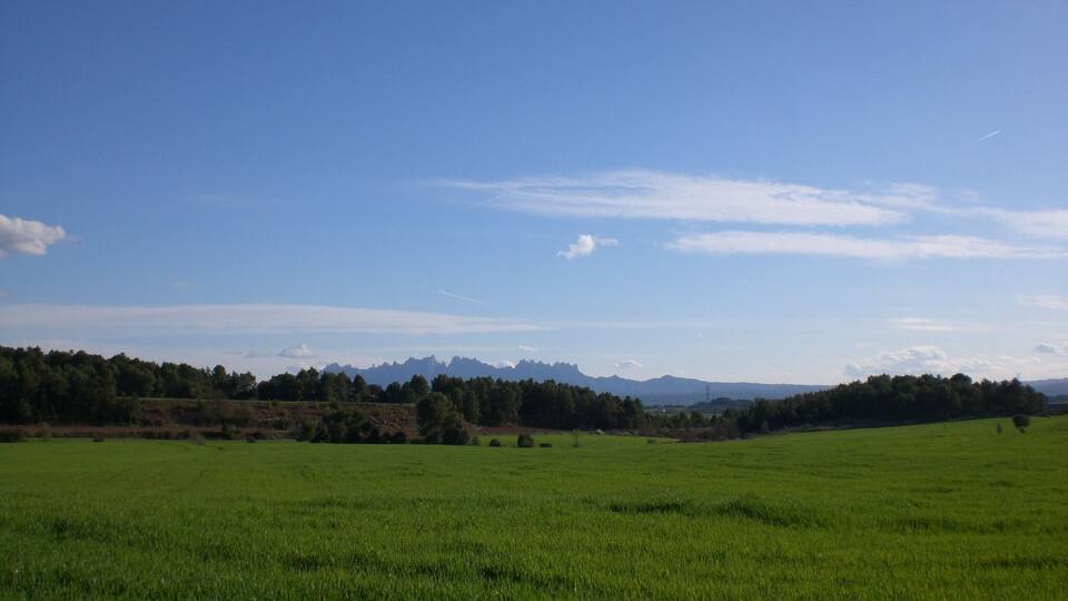 A green field with a clear sky and distant mountains.