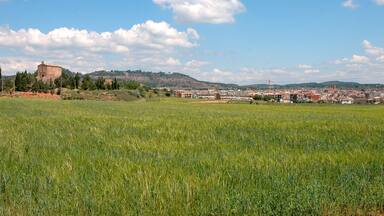 Santpedor des de Sant Francesc This is a photo of a building indexed in the Catalan heritage register as Bé Cultural d'Interès Local (BCIL) under the reference IPA-17213.
