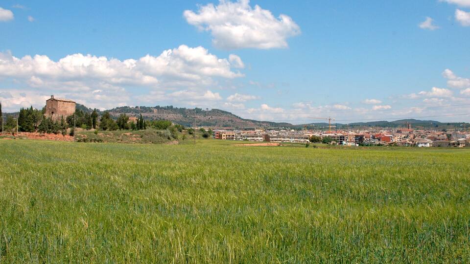 A rural landscape with a field of crops, a hill with a tower, and a distant town.