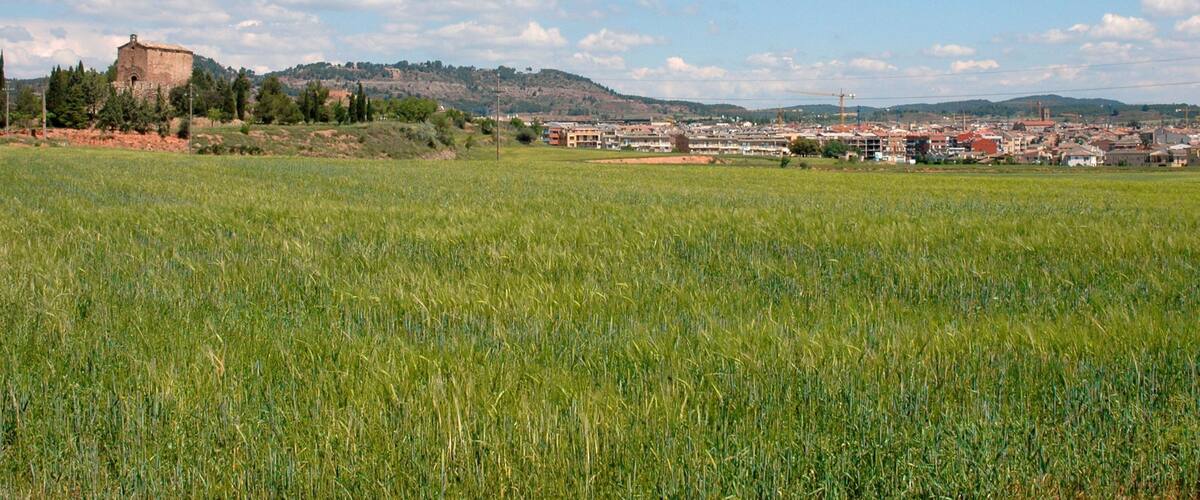 A rural landscape with a field of crops, a hill with a tower, and a distant town.