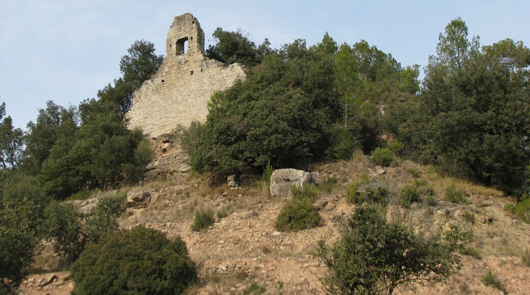 Ruïnes del castell de Rocafort, en el municipi del Pont de Vilomara i Rocafort (Bages)