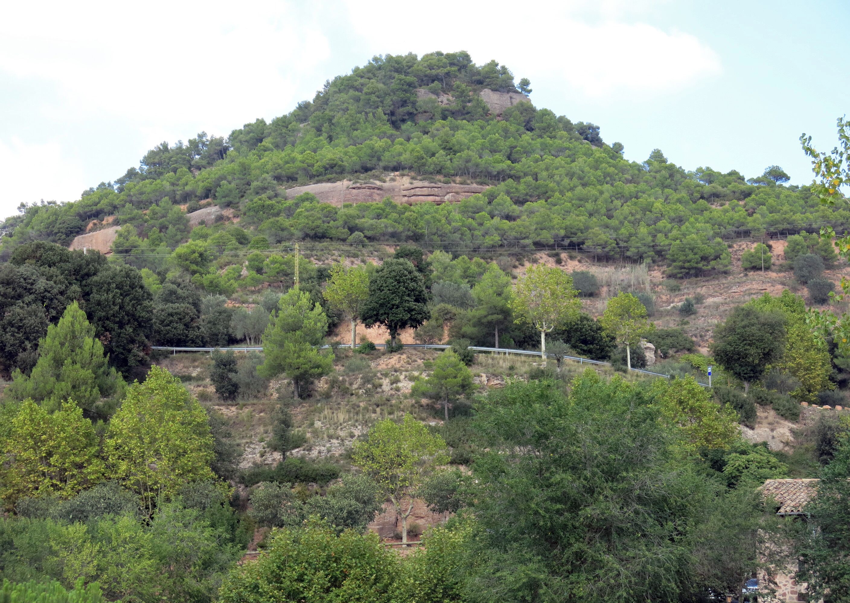 El pla de l'Espígol des de Mura