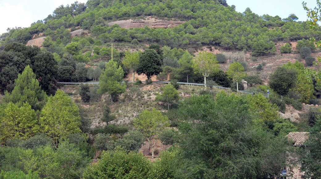 El pla de l'Espígol des de Mura