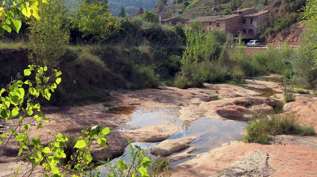 La Riera de Nespres, a Mura