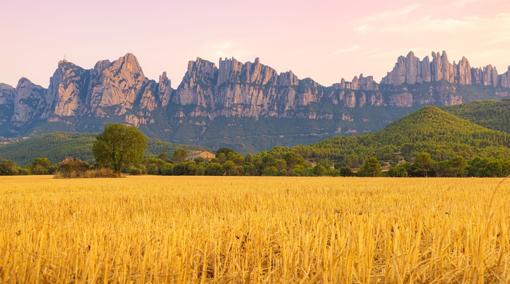A golden wheat field, a solitary tree, and a mountain range with distinctive rock formations.