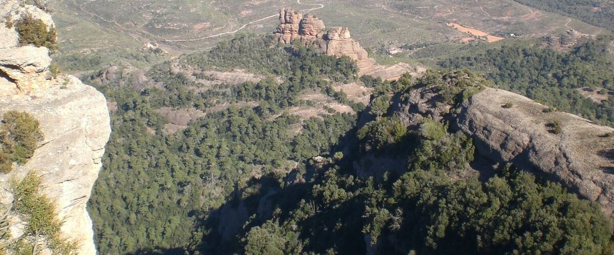 Roca Mur i Màquina del Tren (febrer 2011)