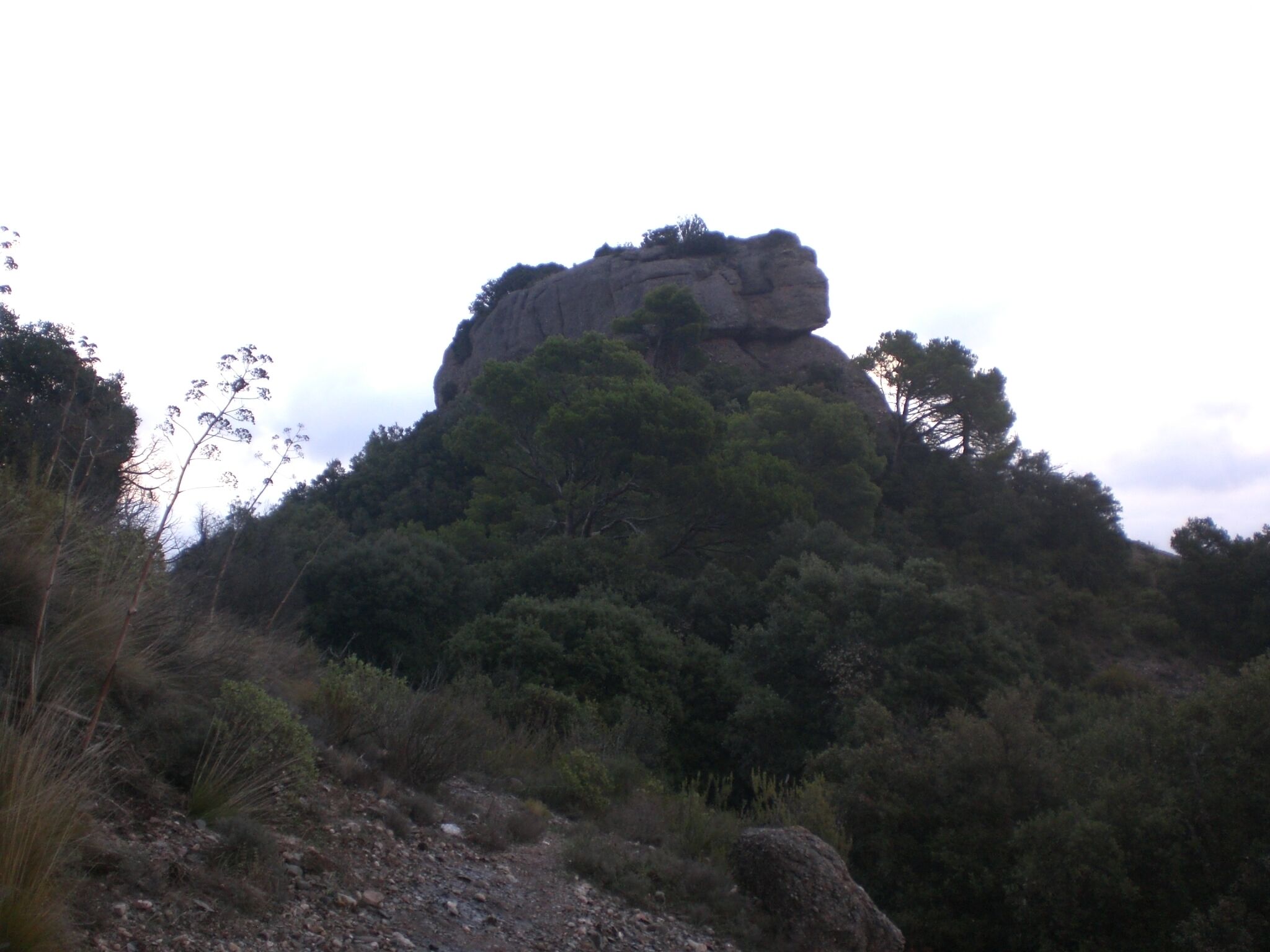 Morella des del Coll de la Morella (novembre 2011)