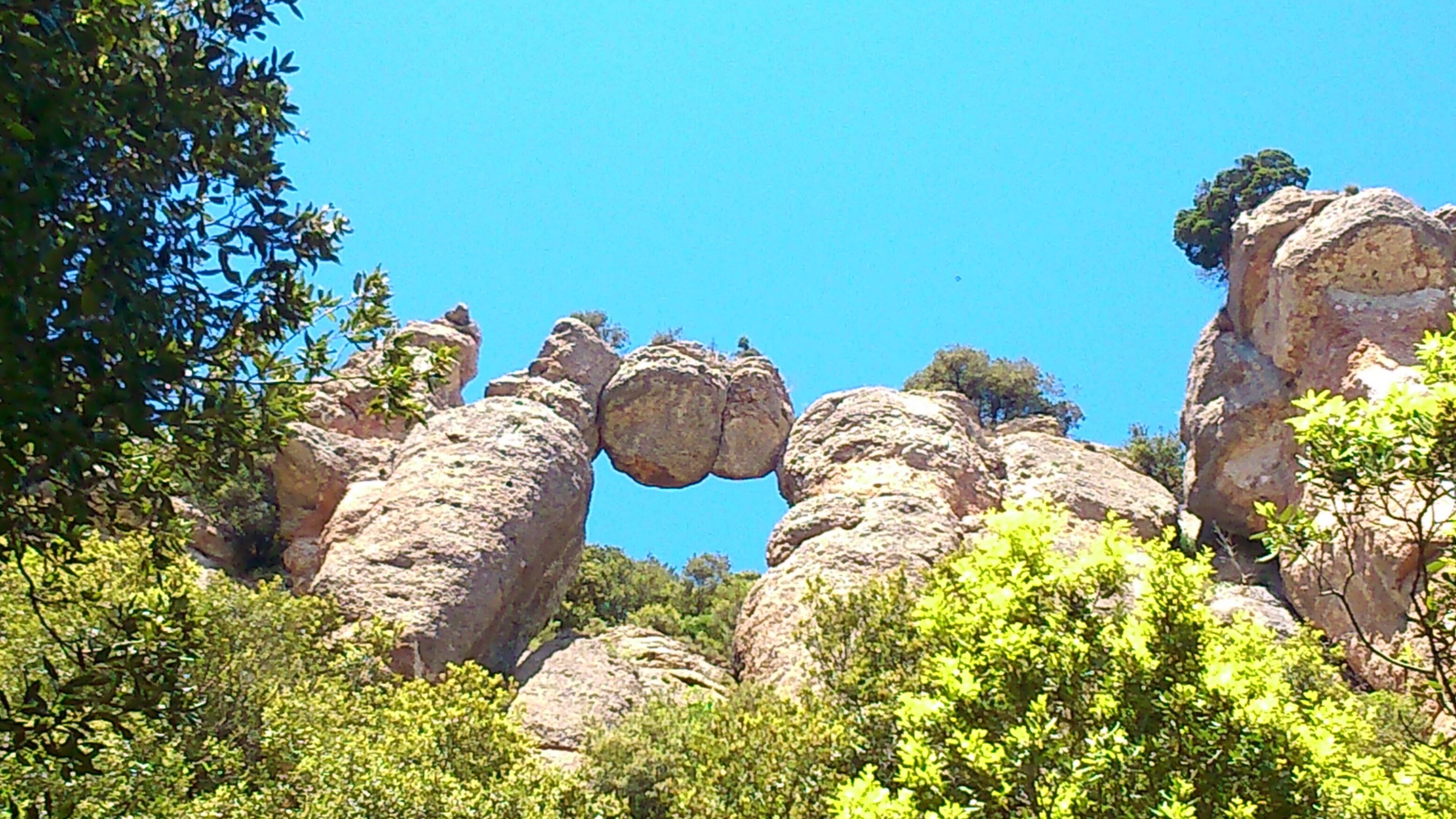 A rocky landscape with large boulders and green foliage.