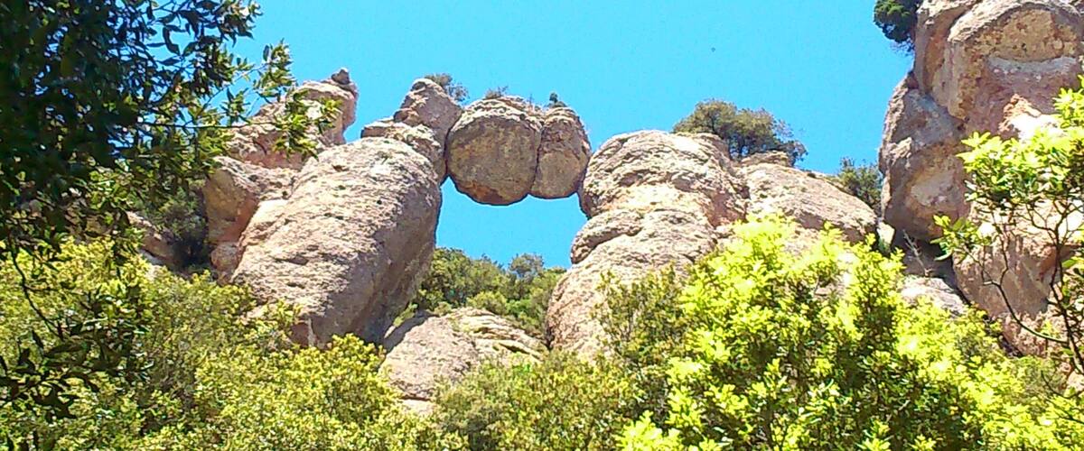 A rocky landscape with large boulders and green foliage.
