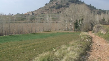 Turó de Sant Andreu (Moià, Moianès)