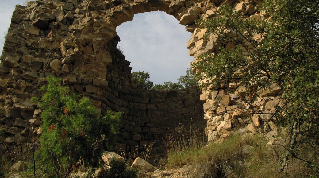 Castell de Clarà, Moià