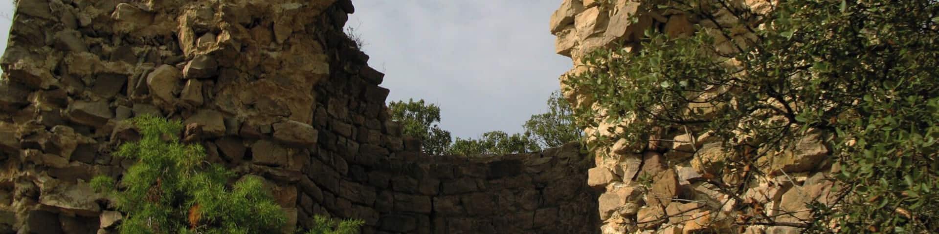 Castell de Clarà, Moià