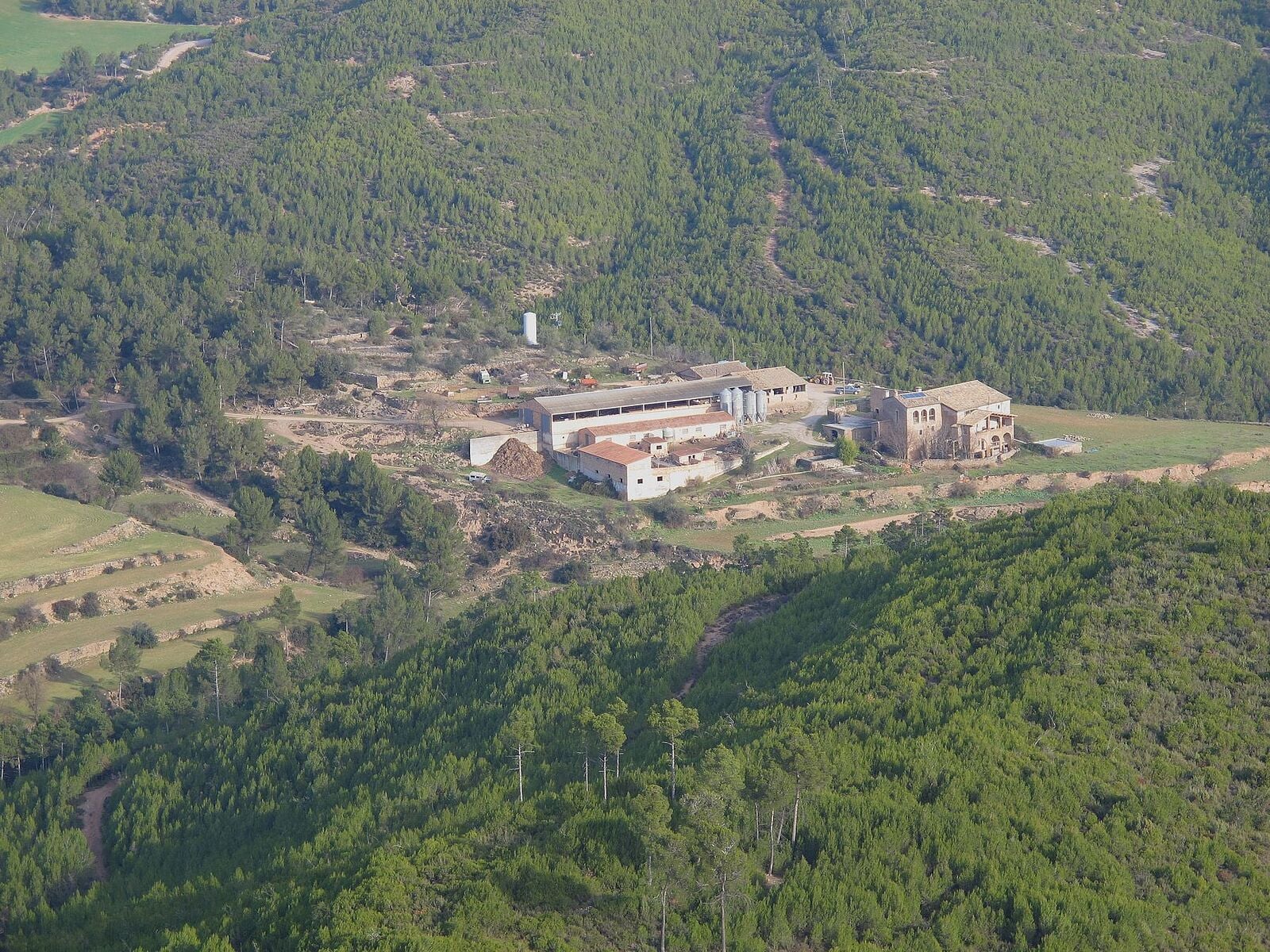 Can Dàliga (Balsareny)