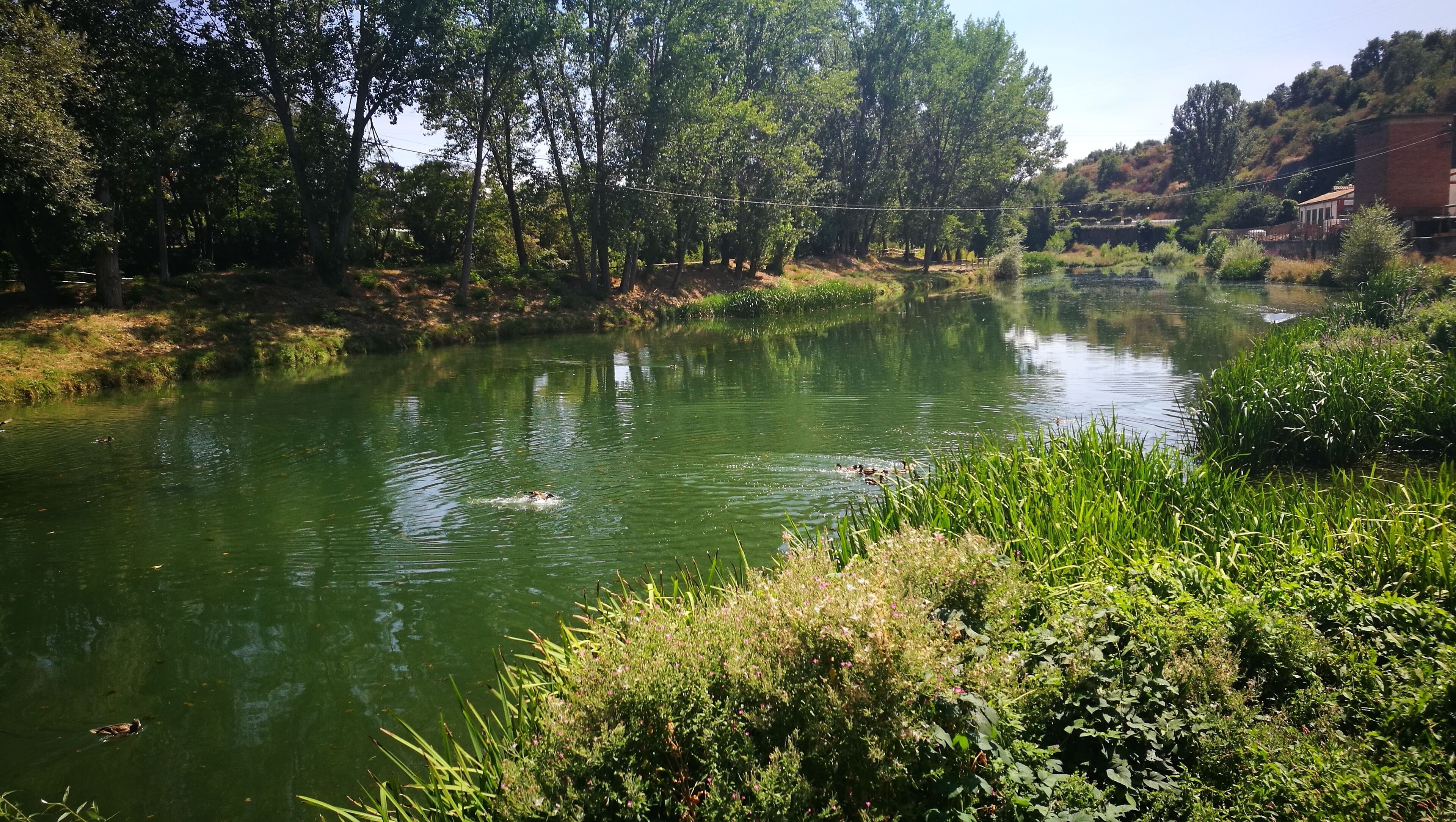 Llobregat a Gironella