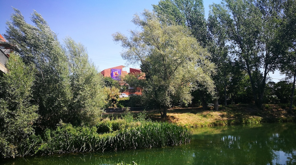 institut Pere Fontdevila des del riu.Llobregat