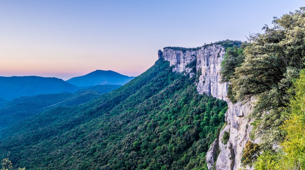 A canyon with steep cliffs and dense forest.