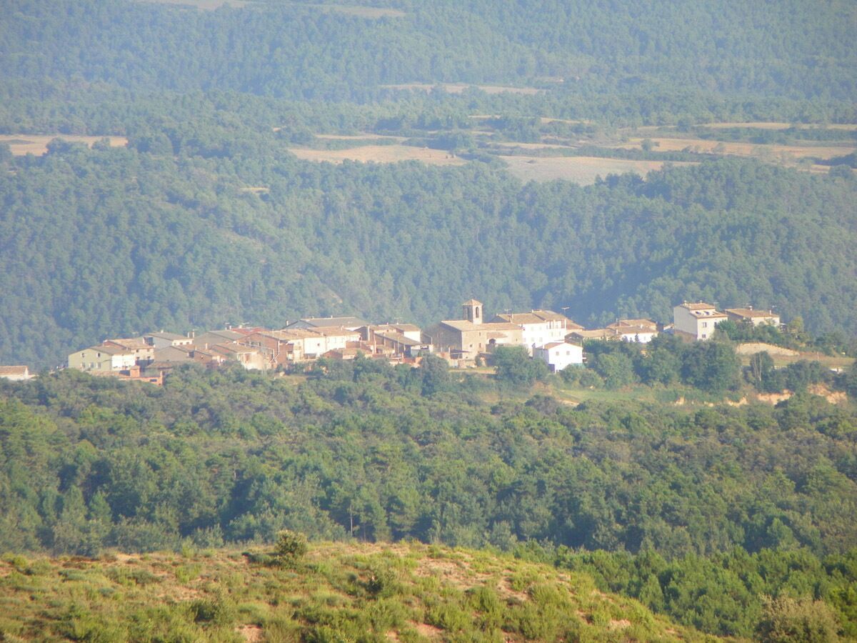 A village nestled in a valley surrounded by dense forests.