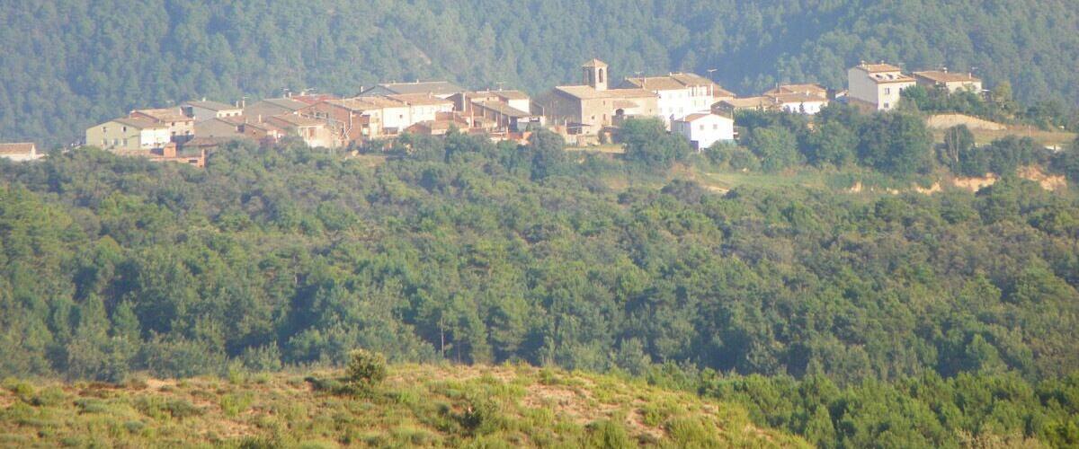 A village nestled in a valley surrounded by dense forests.