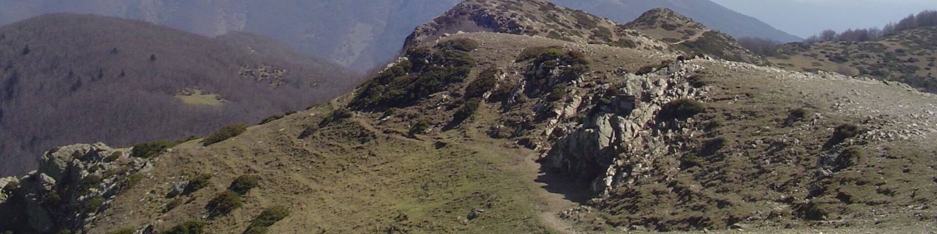 Les Agudes i Turó de l'Home vist des del cim del Matagalls (març 2007)