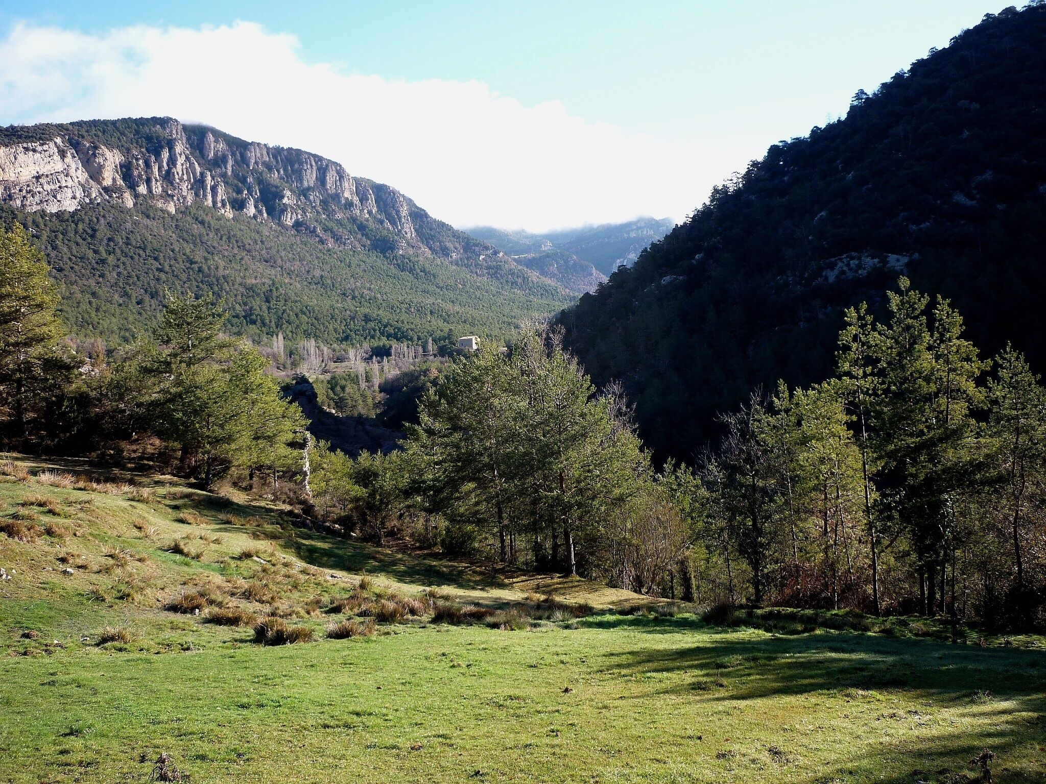 El torrent de Castellar des de la Torre de Terrers, al final del seu curs, a Castellar del Riu (Berguedà - Catalunya)