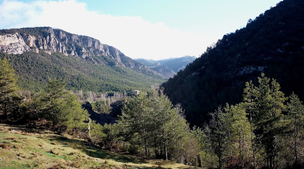 El torrent de Castellar des de la Torre de Terrers, al final del seu curs, a Castellar del Riu (Berguedà - Catalunya)