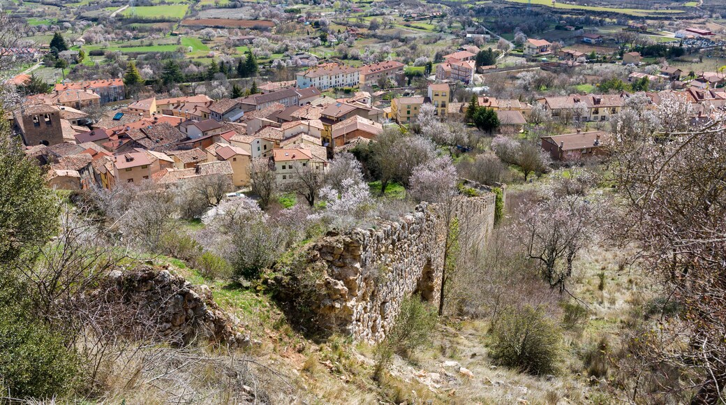 ํฌ์ฌ ๋ฐ ๋ผ ์ด