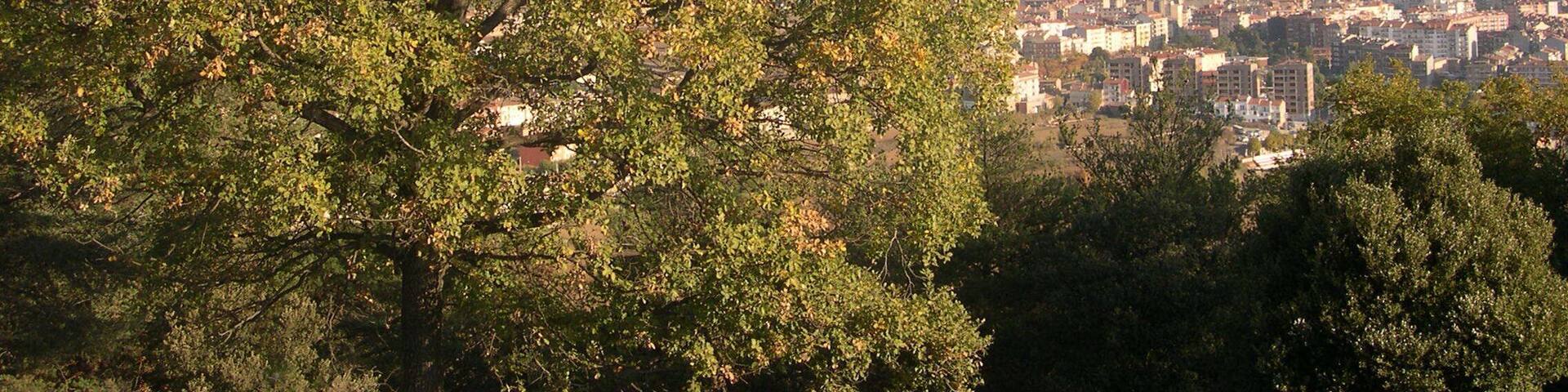 This is a a photo of a natural area in Catalonia, Spain, with id: