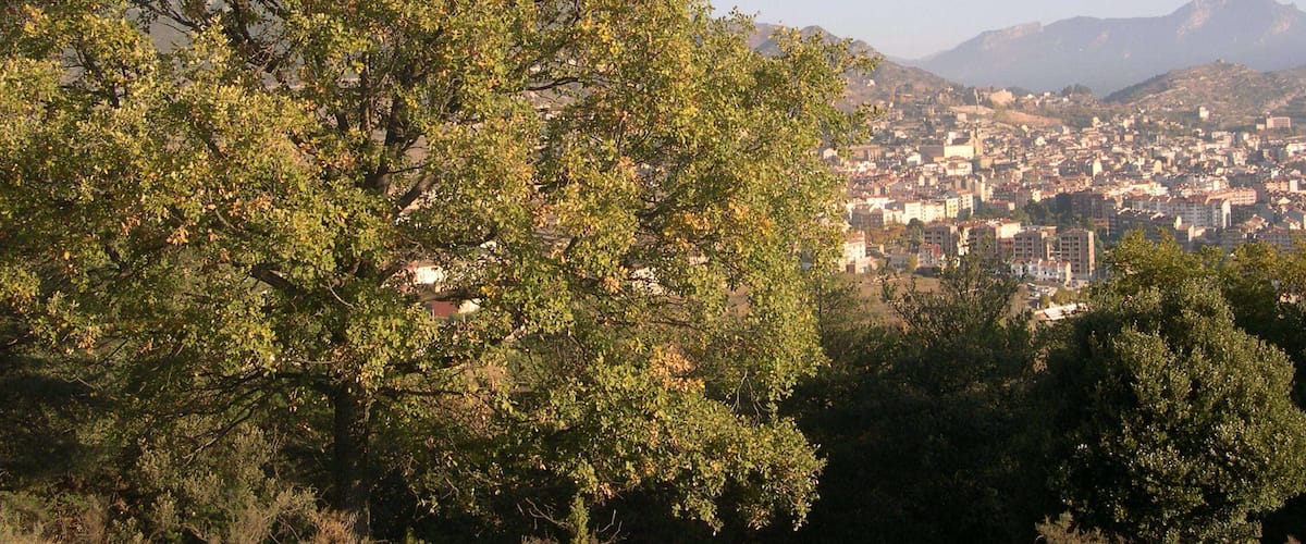 A tree-lined hill overlooking a city with mountains in the background.